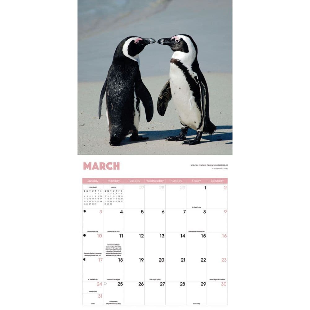 Penguins 2025 Wall Calendar