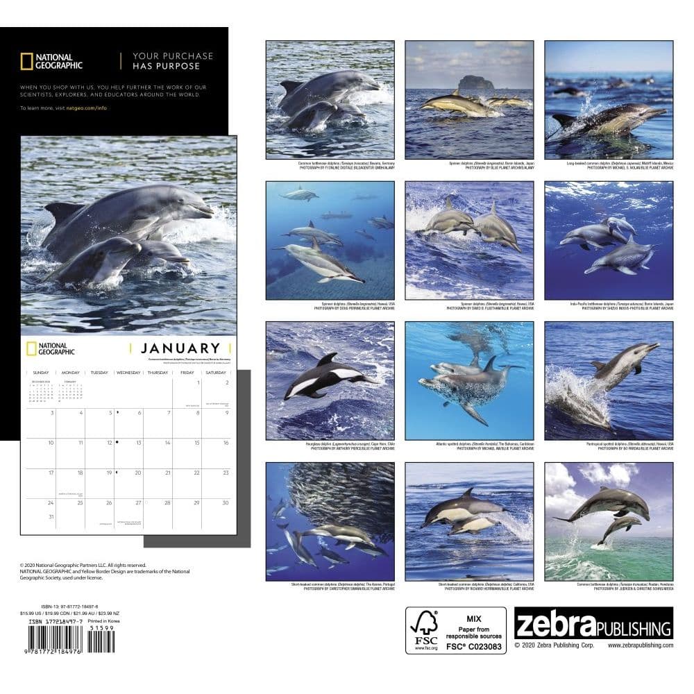 Dolphins National Geographic Wall Calendar