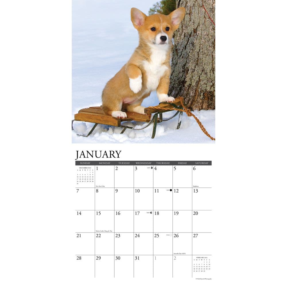 Just Pembrook 2024 Wall Calendar