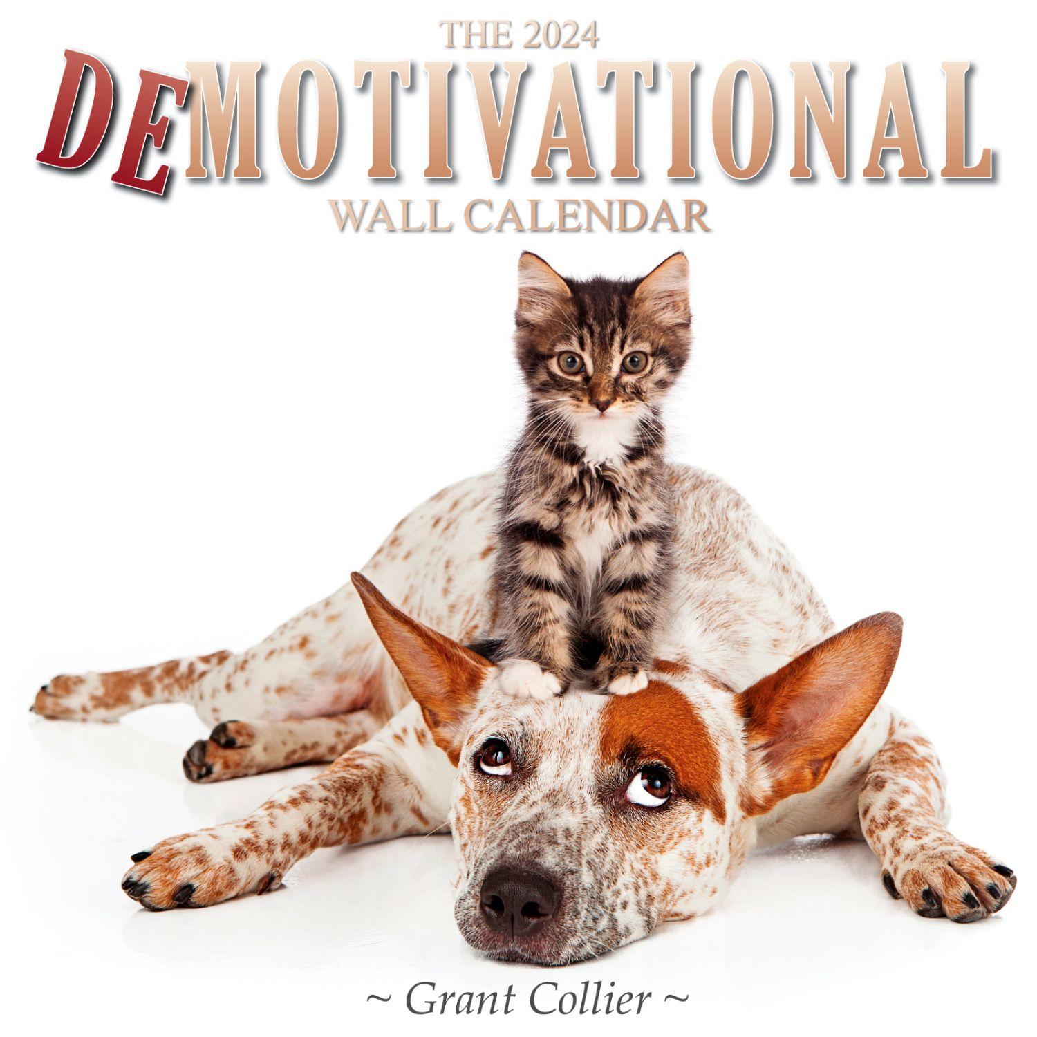 Demotivational 2024 Wall Calendar