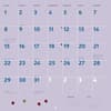 image My Neighbor Totoro 2026 Wall Calendar Third Alternate Image