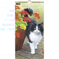 image Cats In The Country 2026 Vertical Wall Calendar Main Image