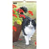 image Cats In The Country 2026 Vertical Wall Calendar Main Image