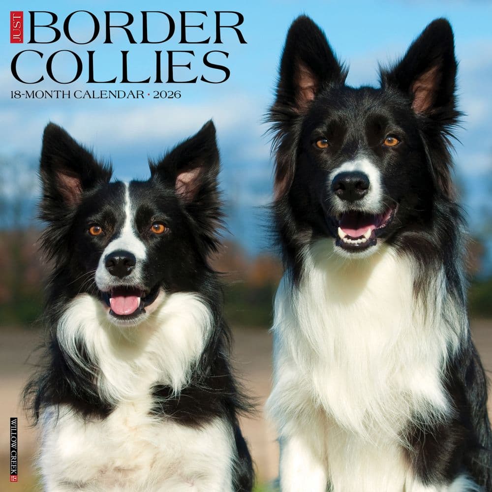 Just Border Collies 2026 Wall Calendar Main Image