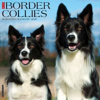 image Just Border Collies 2026 Wall Calendar Main Image