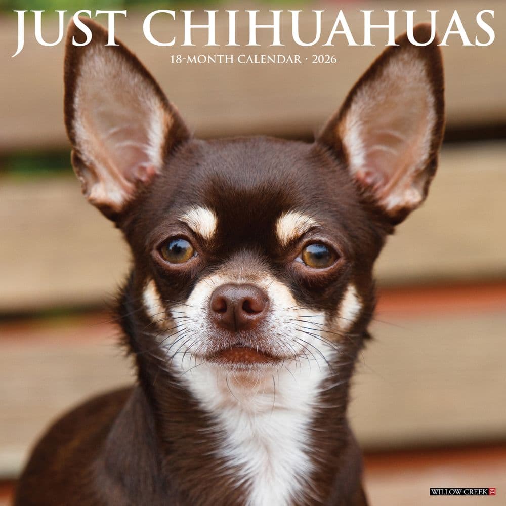 Just Chihuahuas 2026 Wall Calendar Main Image