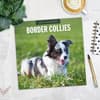 image Border Collies 2027 Wall Calendar Fourth Alternate Image