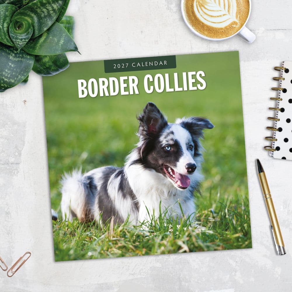 Border Collies 2027 Wall Calendar Fourth Alternate Image