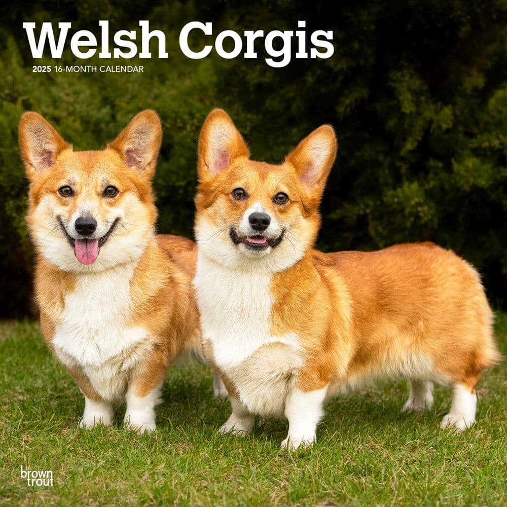 Welsh Corgis 2025 Wall Calendar Main Image