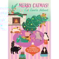 image Cat Lovers Advent Calendar Main Product Image