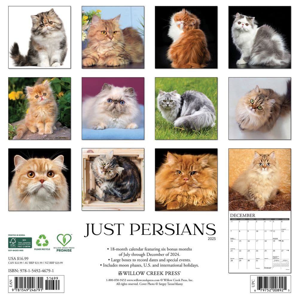 Just Persians 2025 Wall Calendar Alt1