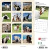 image Goats 2024 Wall Calendar First Alternate Image width=&quot;1000&quot; height=&quot;1000&quot;