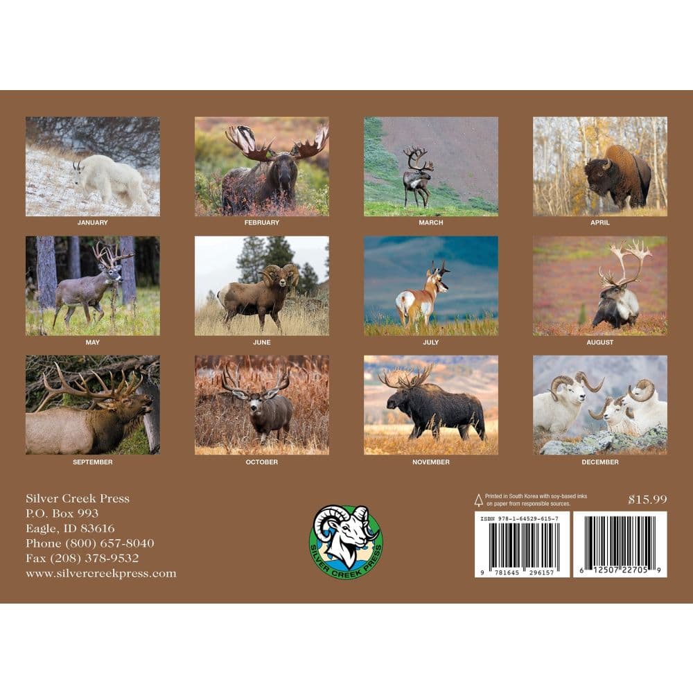 Trophy Antlers and Horns 2027 Wall Calendar First Alternate Image