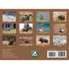 image Trophy Antlers and Horns 2027 Wall Calendar First Alternate Image