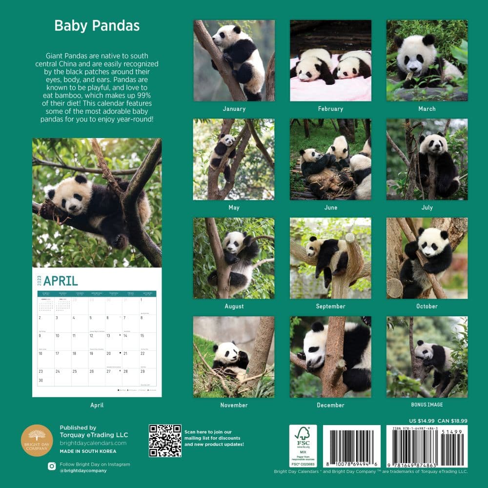 Baby-Pandas-2023-Wall-Calendar - Calendars.com