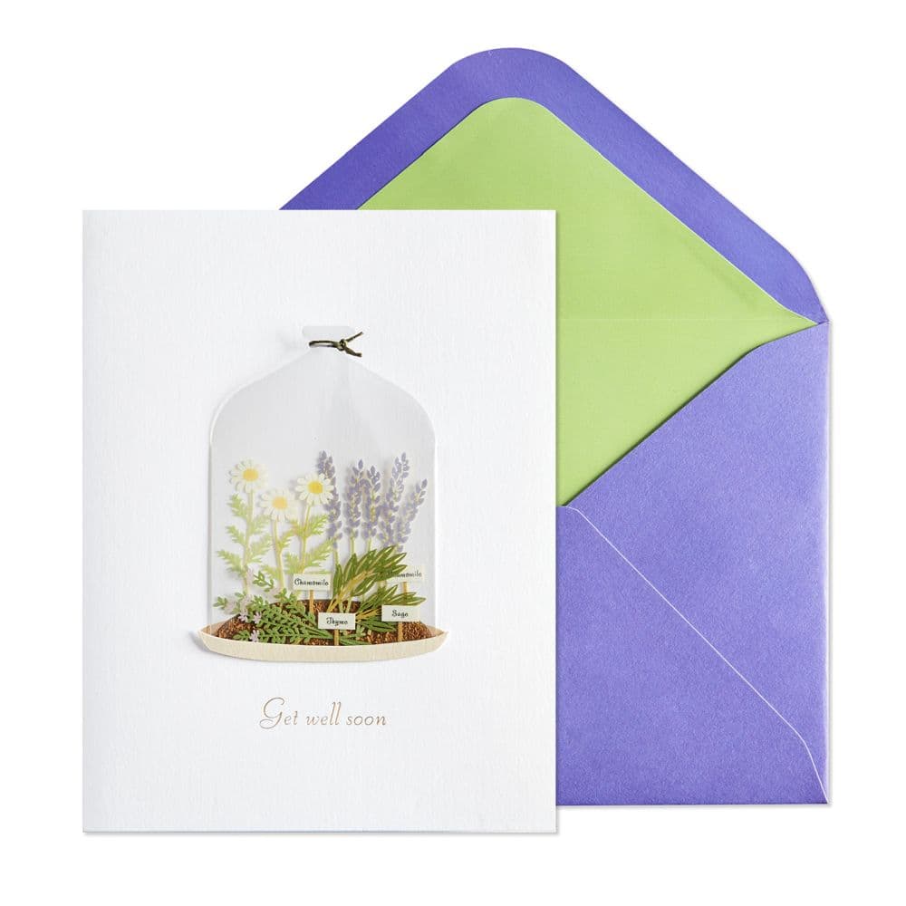 Plants in Cloche Get Well Card Main Product  Image width=&quot;1000&quot; height=&quot;1000&quot;