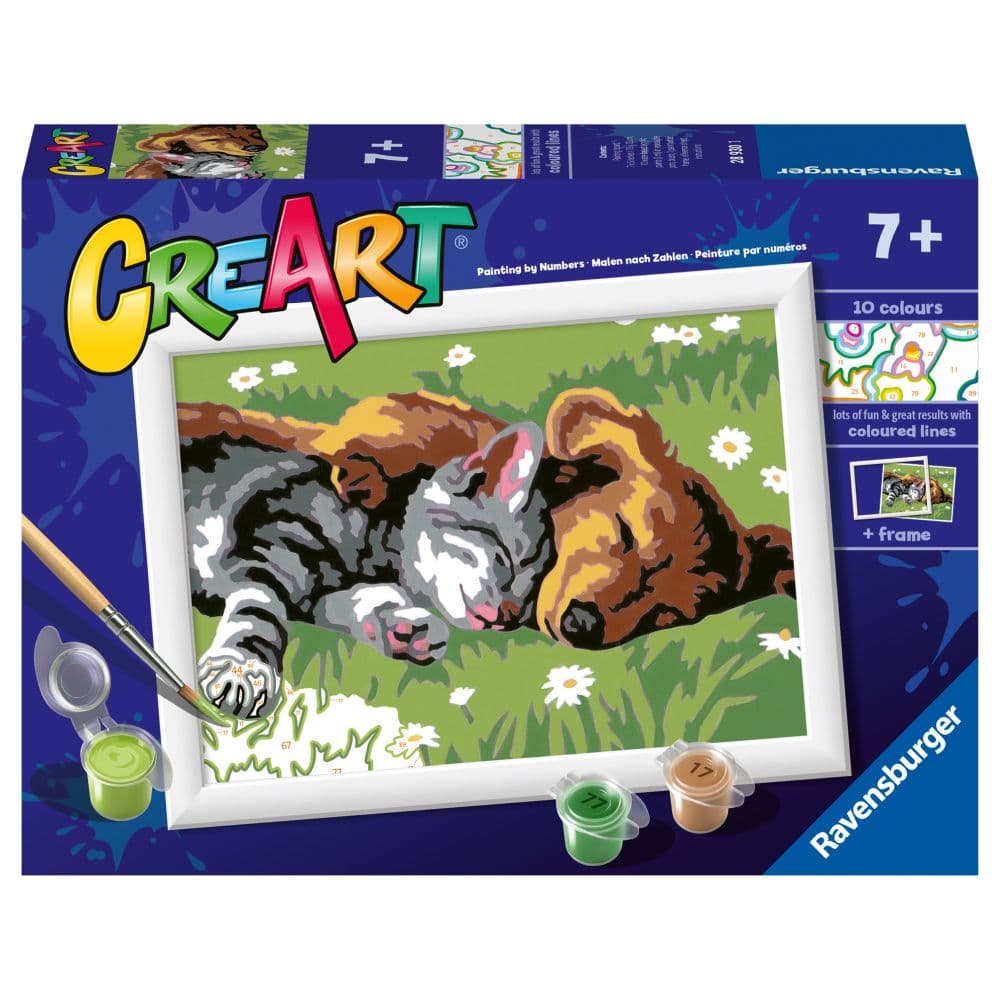 Sleeping Cat and Dog Paint by Number Kit Main Product Image width=&quot;1000&quot; height=&quot;1000&quot;