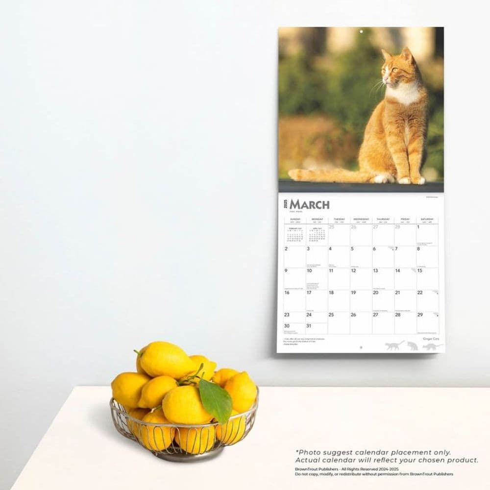 Ginger Cats 2025 Wall Calendar Fourth Alternate Image