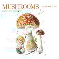 image Mushrooms Viazmensky 2027 Wall Calendar Main Product Image