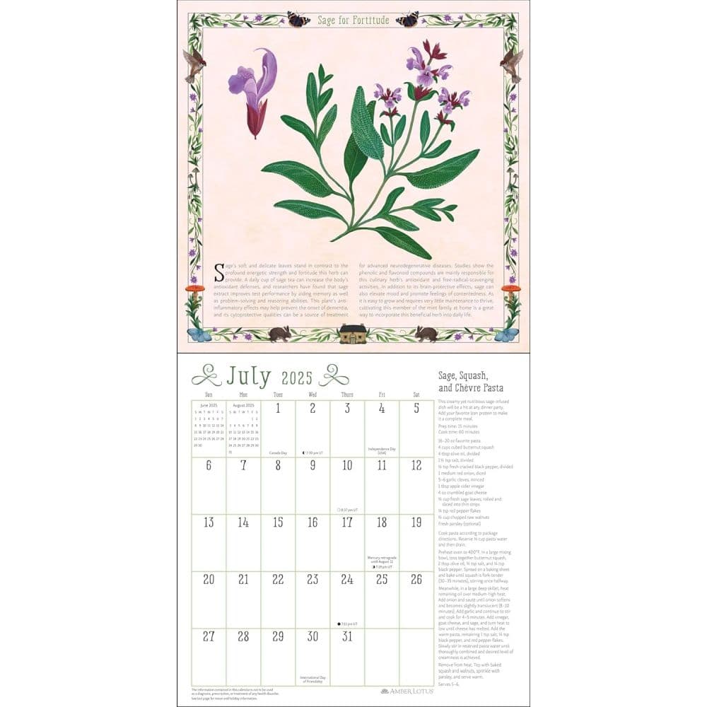 Kitchen Witch 2025 Wall Calendar