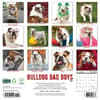 image Just Bulldog Bad Boys 2025 Wall Calendar First Alternate Image width=&quot;1000&quot; height=&quot;1000&quot;