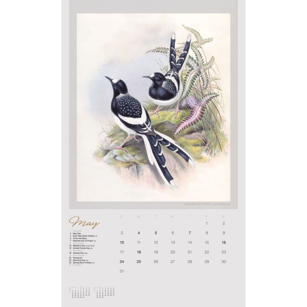 John Goulds Exotic Birds Poster 2026 Wall Calendar Third Alternate Image