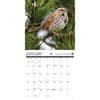 image Songbirds 2025 Wall Calendar