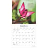 image Mindful Living 2025 Mini Wall Calendar Second Alternate Image