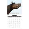 image Horsin Around 2026 Wall Calendar Second Alternate Image