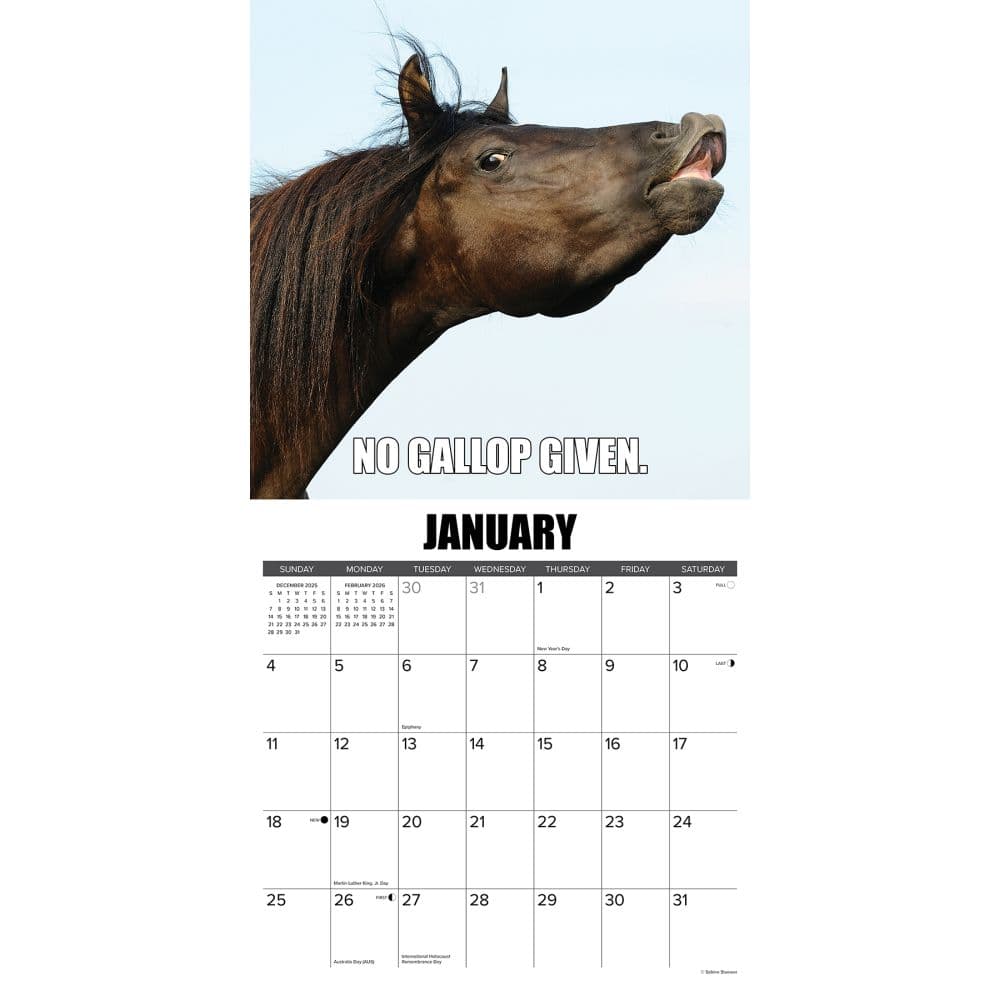Horsin Around 2026 Wall Calendar Second Alternate Image
