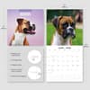 image Boxers 2026 Wall Calendar Fourth Alternate Image