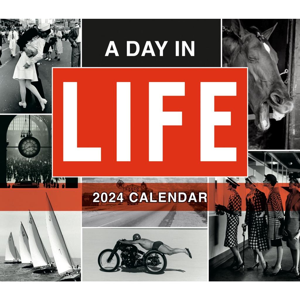 image Day in a  Life  2024 Desk Calendar Main Image