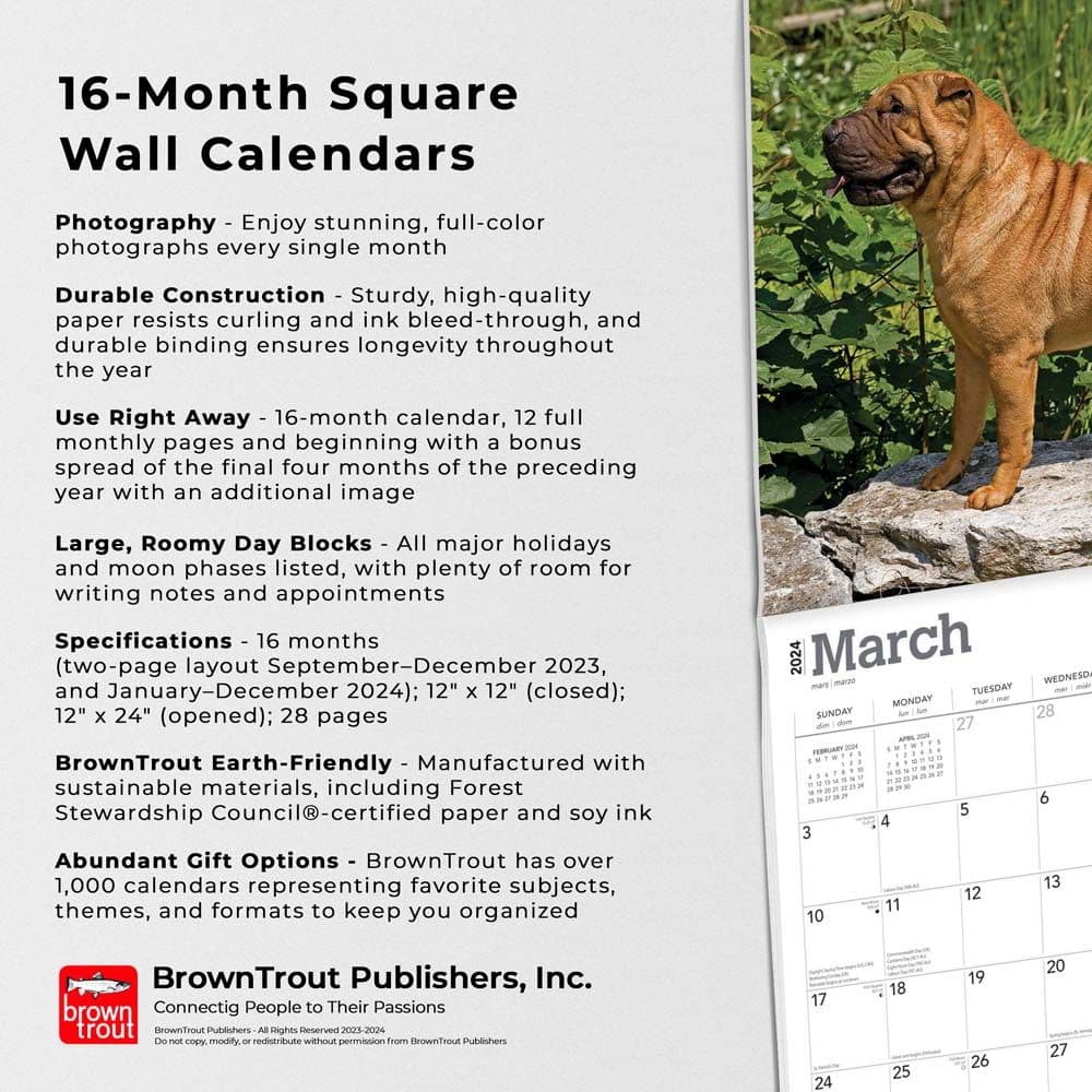 SharPei 2024 Wall Calendar