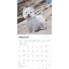 image West Highland White Terriers 2025 Wall Calendar Second Alternate Image width=&quot;1000&quot; height=&quot;1000&quot;