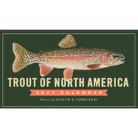image Trout of North America 2027 Wall Calendar