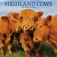 image Highland Cows Photo 2026 Wall Calendar