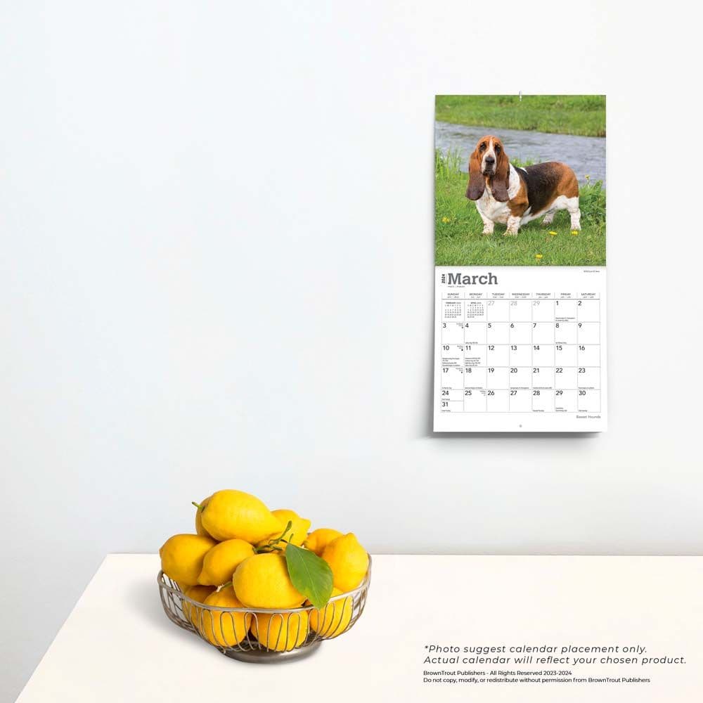 Basset Hound 2024 Mini Wall Calendar Third Alternate Image width=&quot;1000&quot; height=&quot;1000&quot;