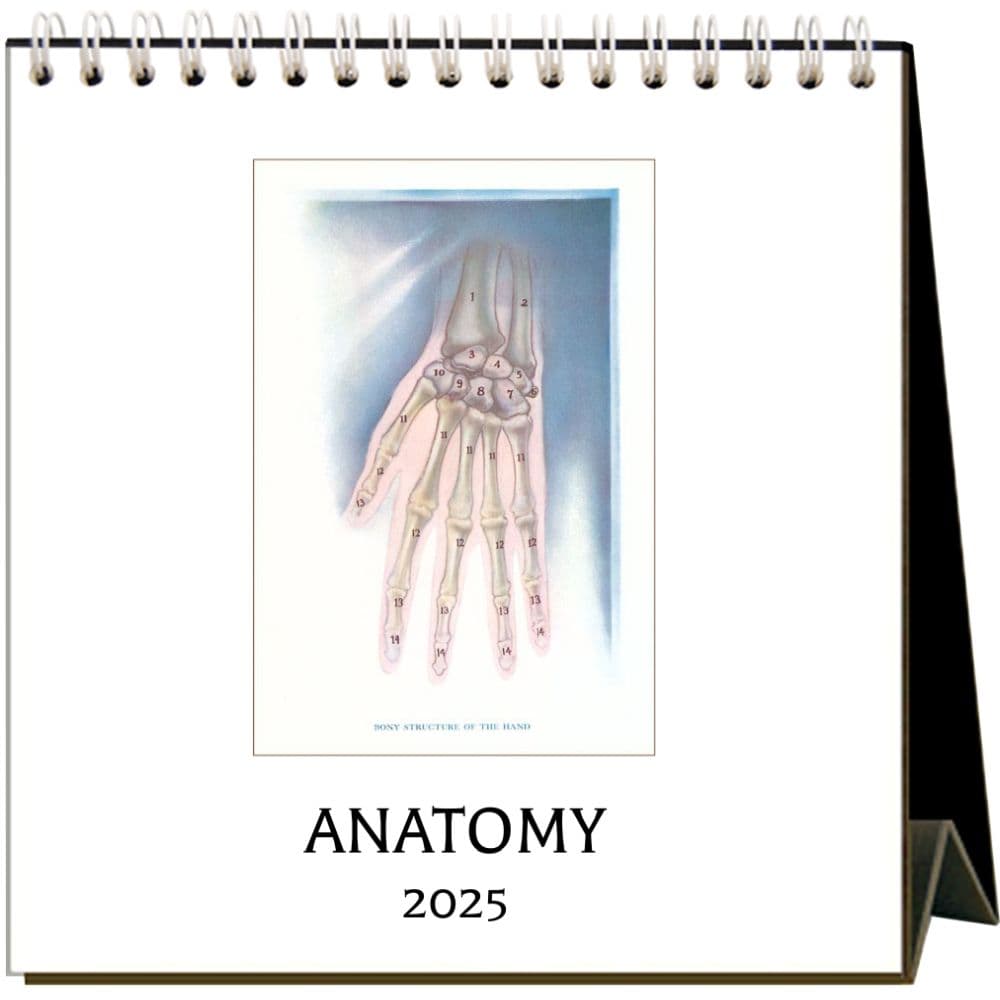 Anatomy 2025 Easel Desk Calendar