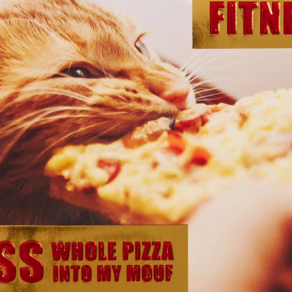 Pizza Cat Friendship Card Fifth Alternate  Image width=&quot;1000&quot; height=&quot;1000&quot;