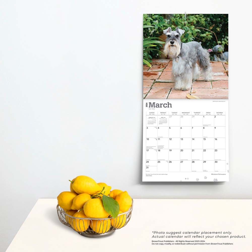Miniature Schnauzers 2025 Mini Wall Calendar