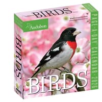 image Audubon Birds 2026 Page-a-Day Desk Calendar
