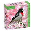 image Audubon Birds 2026 Desk Calendar