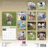 image Lambies in Jammies 2026 Wall Calendar First Alternate Image