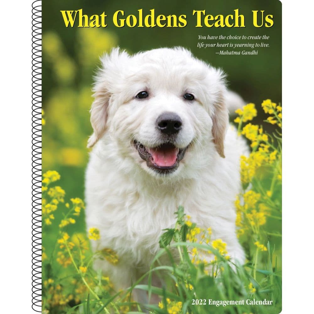 What Goldens Teach Us 2022 Engagement Calendar
