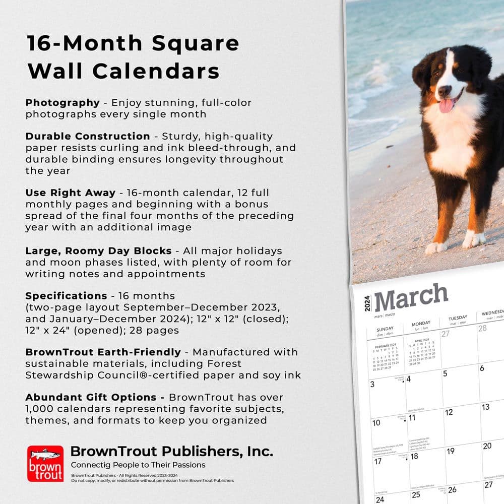 Bernese Mountain Dogs 2024 Wall Calendar