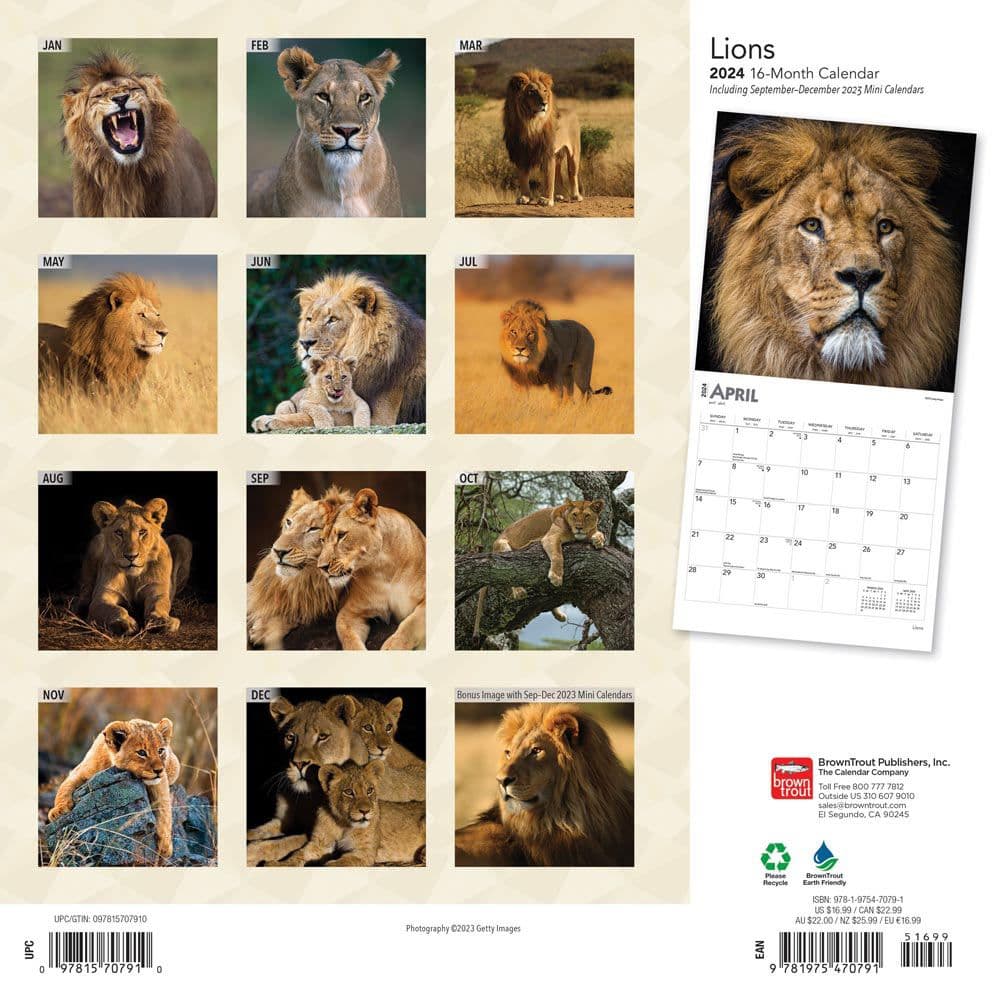 Lions 2024 Wall Calendar