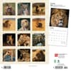 image Lions 2024 Wall Calendar First Alternate Image width=&quot;1000&quot; height=&quot;1000&quot;