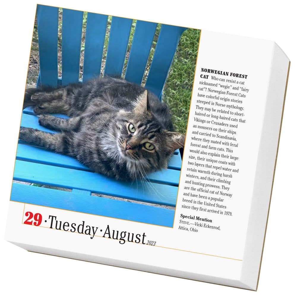 365 Cat Calendar 2023 Customize and Print