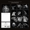 image Wild Portraits 2026 Wall Calendar First Alternate Image