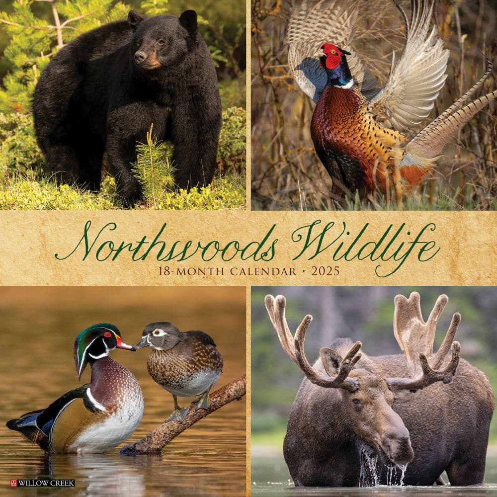 Northwoods Wildlife 2025 Wall Calendar